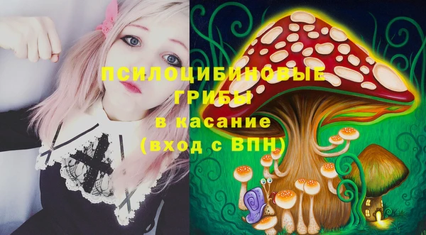 дмт Алексеевка