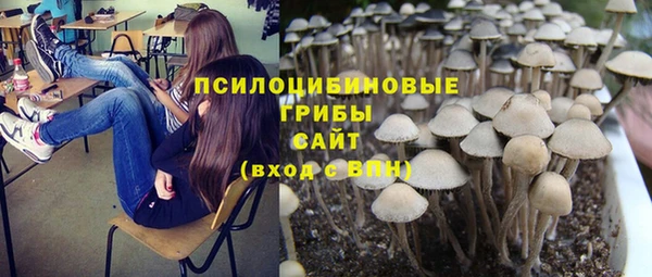 дмт Алексеевка