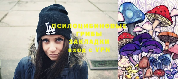 дмт Алексеевка