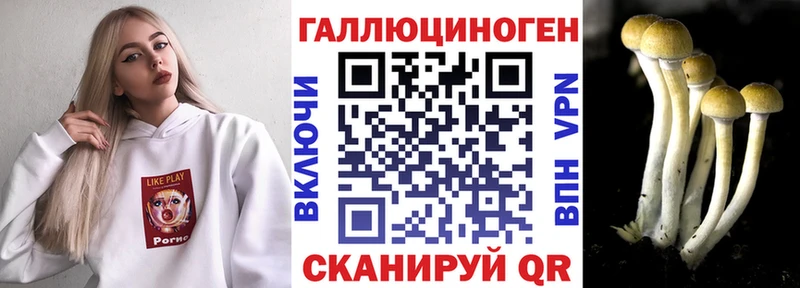 Псилоцибиновые грибы прущие грибы Гуково